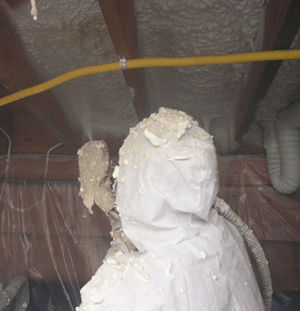 Montgomery AL crawl space insulation